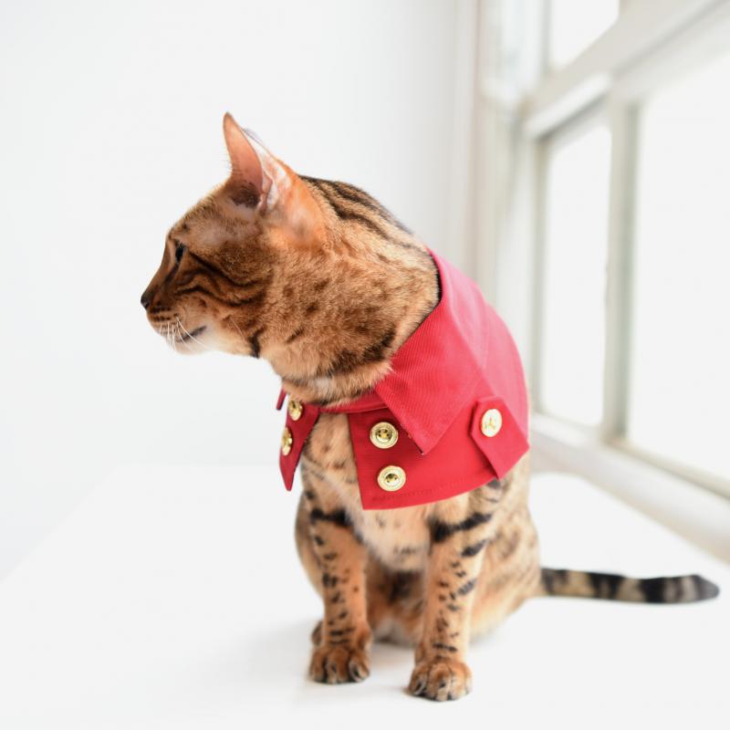 劍橋公爵雙排扣寵物風衣--貓咪經典紅