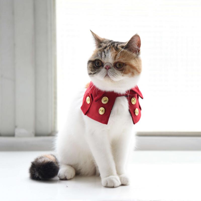 劍橋公爵雙排扣寵物風衣--貓咪經典紅