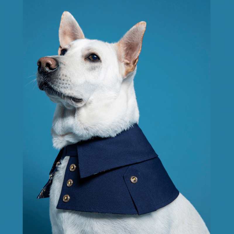 劍橋公爵雙排扣寵物風衣--海軍藍