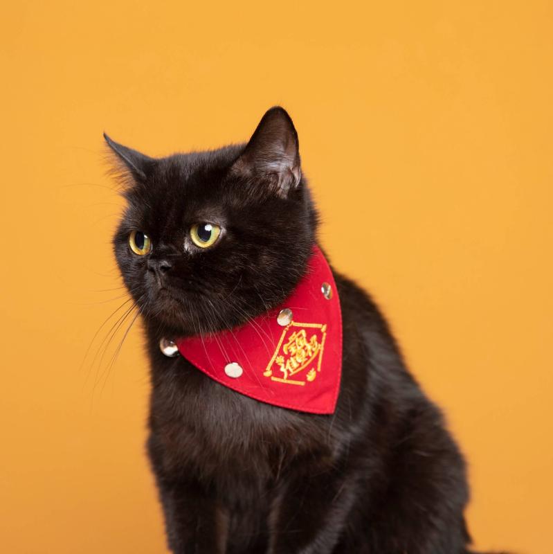 招財進寶--貓咪新年刺繡領巾